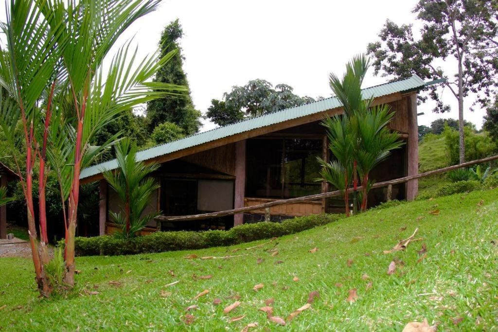 Epic Adventure Lodge San Miguel  Habitación foto